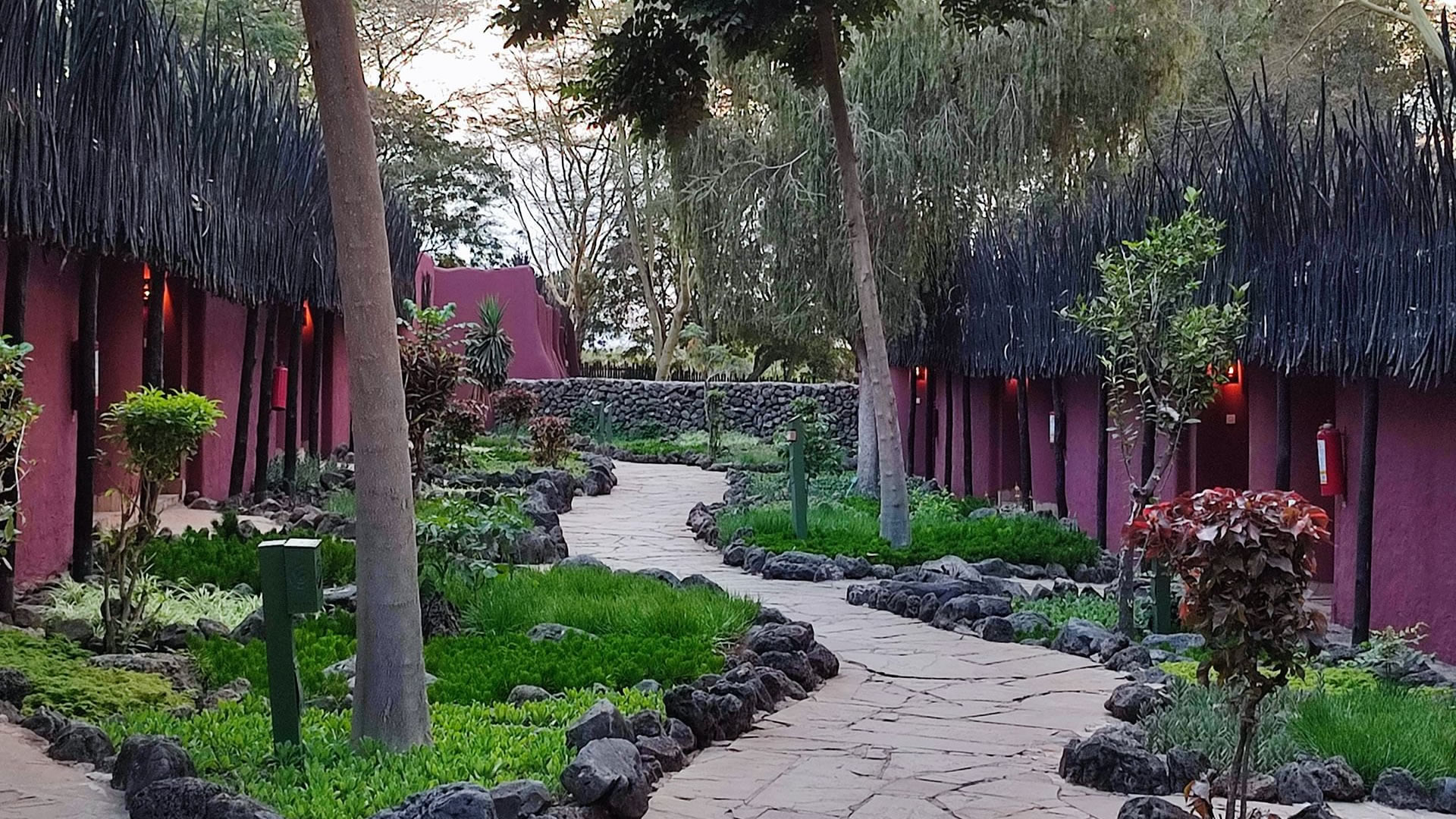 Amboseli Serena Safari Lodge