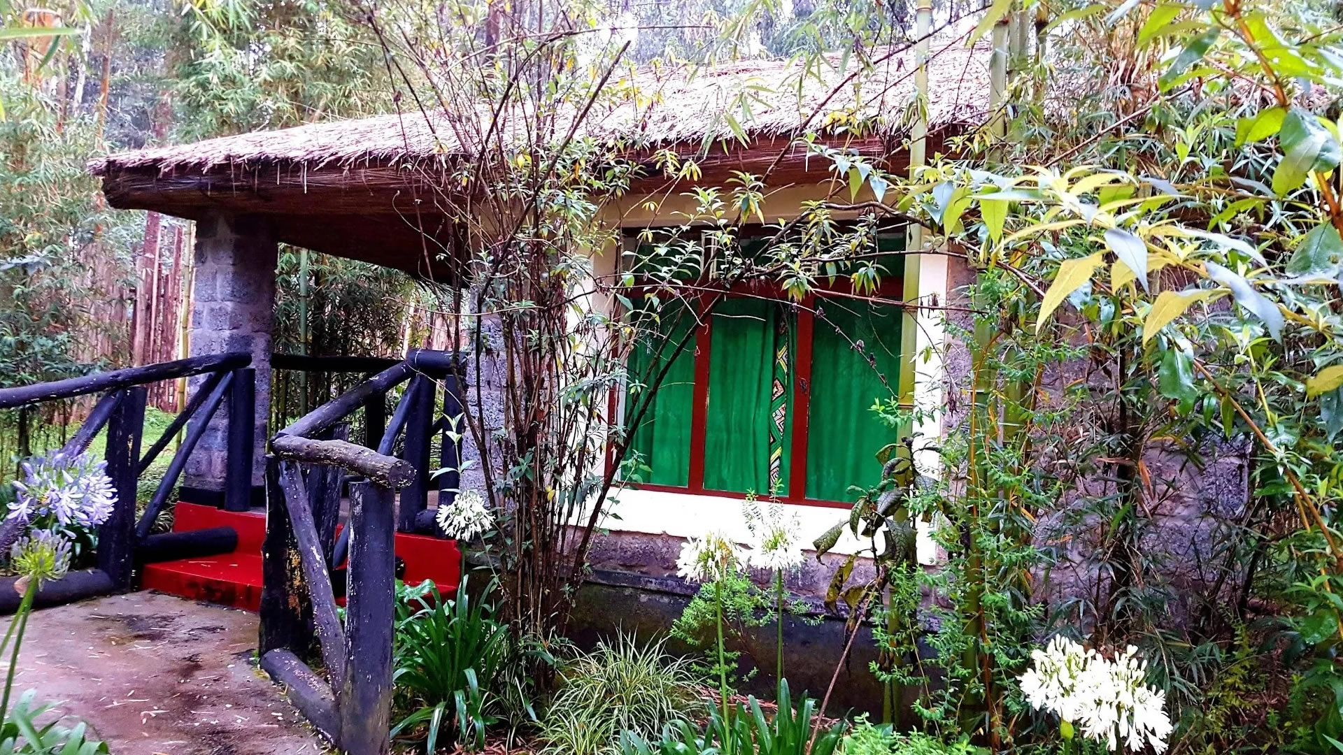 Le bambou Gorilla Lodge 