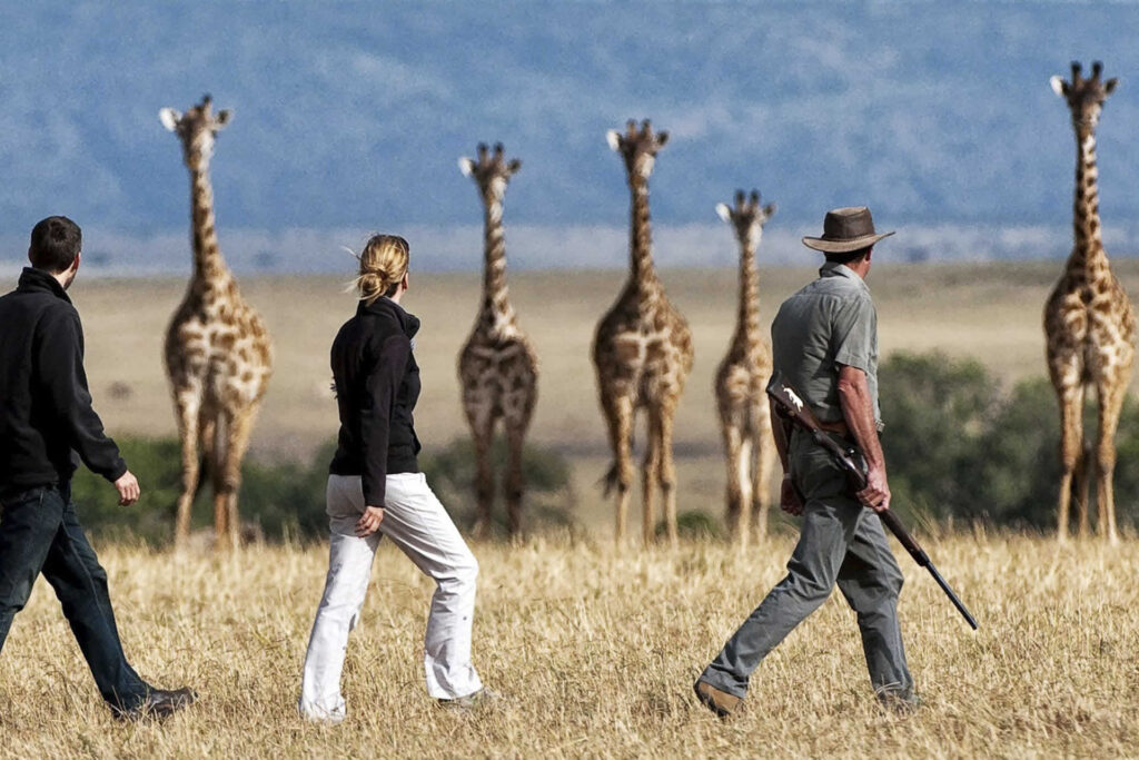 People Walking With Wildlife